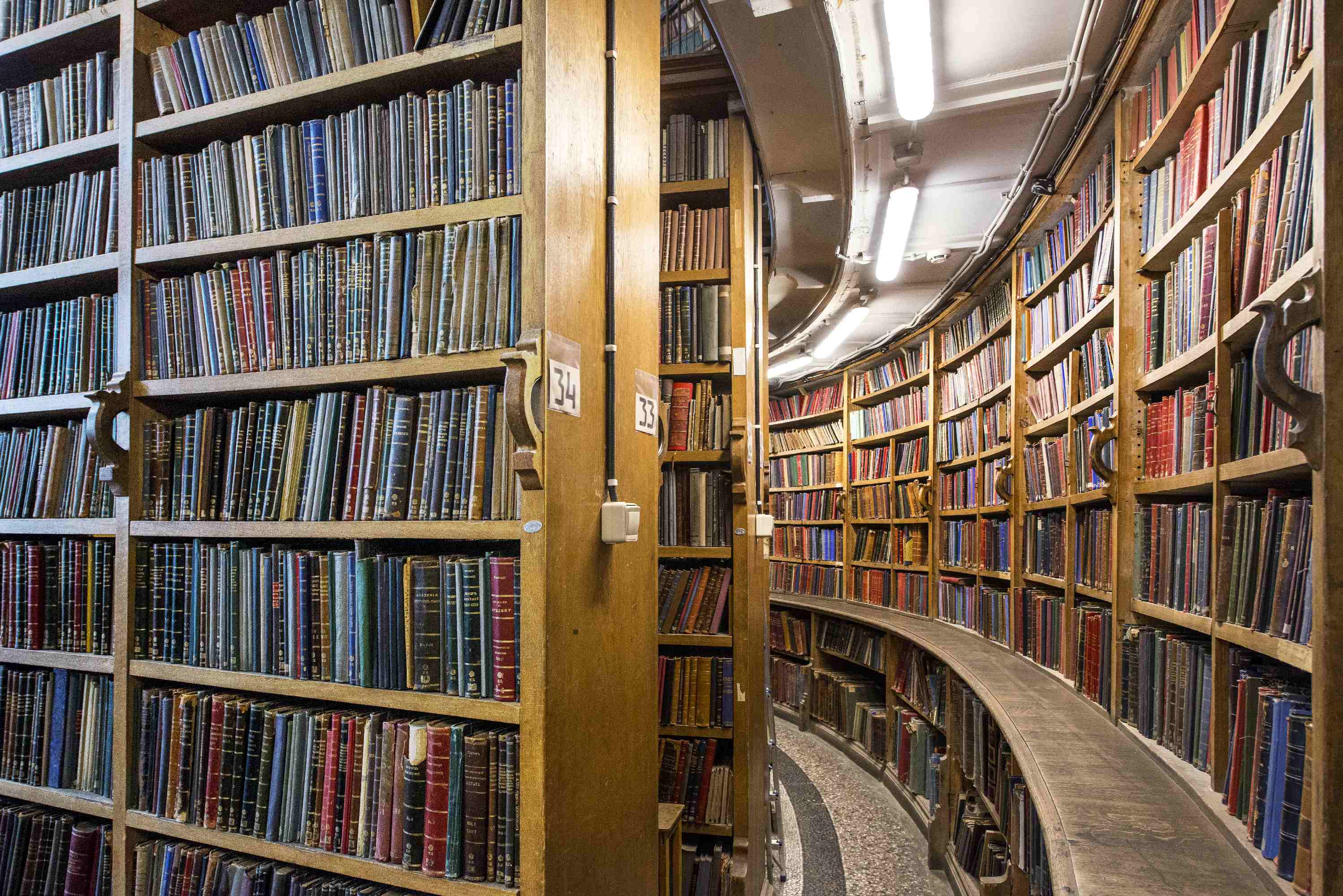 Наша команда 